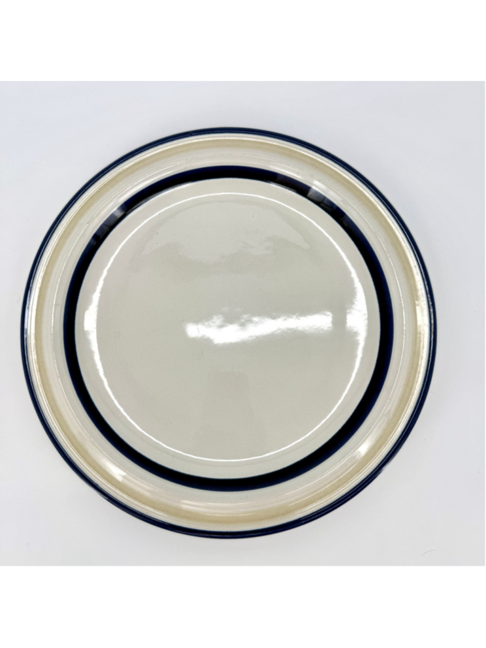 International Coast Line Rockport Serving Plate Stoneware Japan Cream Blue 30011